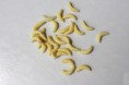 /products/gumene-kostne-cervy-50ks/
